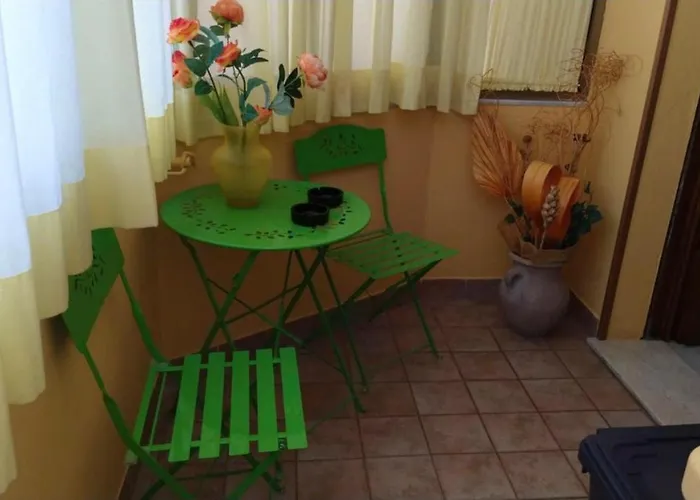 Coral Rubrum 알게로